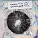 Gymnopilus Thiersii Wild Spore Print - Image 2