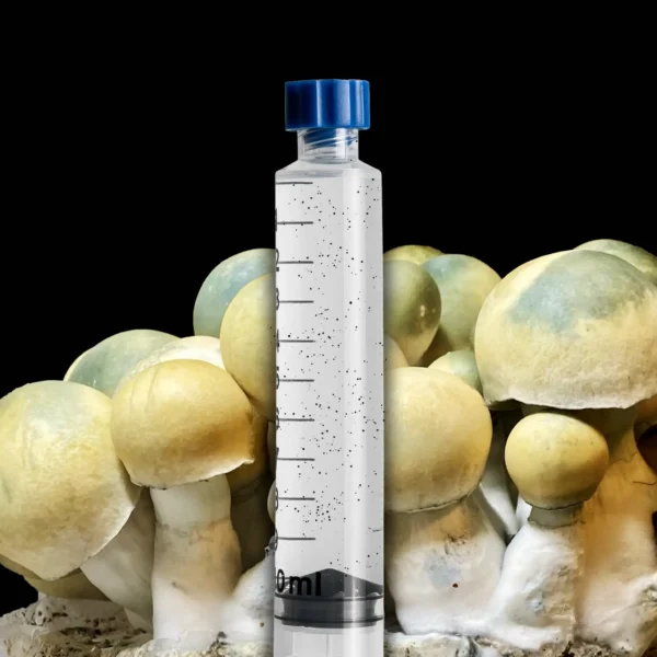 bluey vuitton mushroom spore syringe