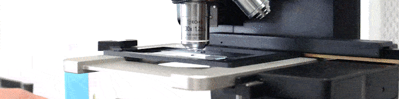 lab view 2